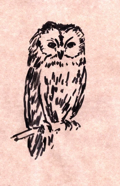 Graphic Drawing Black Marker Craft Paper Owl Sitting Branch — Stock Photo, Image