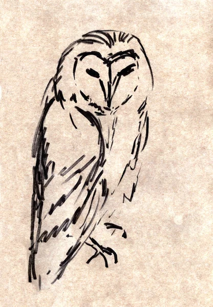 Graphic Drawing Black Marker Craft Paper Owl Sitting Branch — Stock Photo, Image
