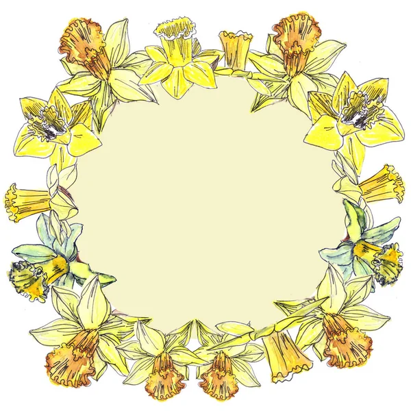 水彩艳丽的春天黄色水仙花的花环 背景为白色 中间为浅黄色 — 图库照片
