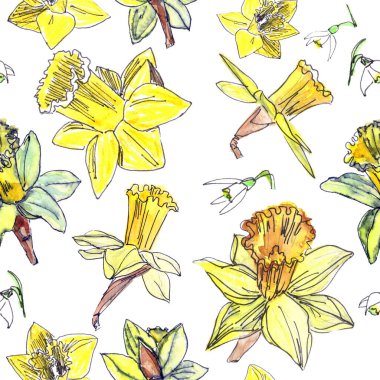 Kusursuz bahar çiçekleri sarı nergis çiçekleri ve beyaz kar damlaları beyaz arka planda.