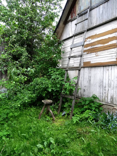 Casa Madeira Velha Entre Vegetação Escada Madeira Banco Três Patas — Fotografia de Stock