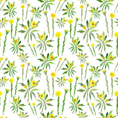 Kusursuz suluboya desenli, bahar sarısı çiçekler ahşap şakayık ve beyaz arka planda tay ayağı.