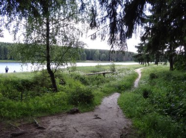 Bir gölü, bir köprüsü ve bir yolu olan yaz manzarası ve uzak sahildeki bulanık bir orman.
