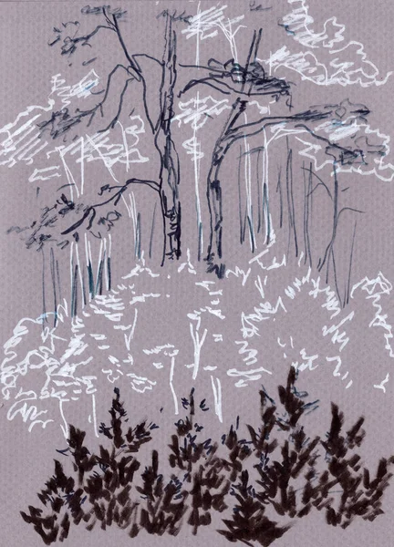 Desenho Gráfico Preto Branco Uma Floresta Verão Com Pinheiros Arbustos — Fotografia de Stock
