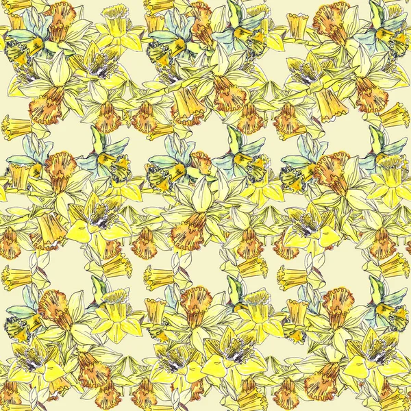 Açık Sarı Bir Zemin Üzerinde Sarı Nergislerin Narin Bahar Çiçeklerinin — Stok fotoğraf