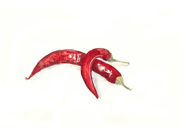 Akvarel Kreslení Dvě Červené Horké Papriky Bílém Pozadí — Stock fotografie