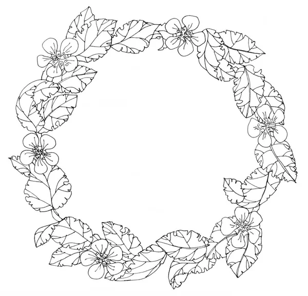 Rysunek Graficzny Wieniec Konturu Monochromatyczne Liście Kwiaty Jabłoni Białym Tle — Zdjęcie stockowe