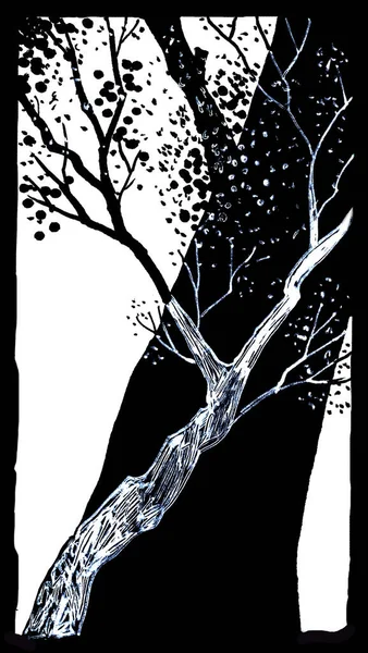 Graficzne Czarno Białe Sylwetki Rysunkowe Dwóch Drzew Małymi Liśćmi — Zdjęcie stockowe