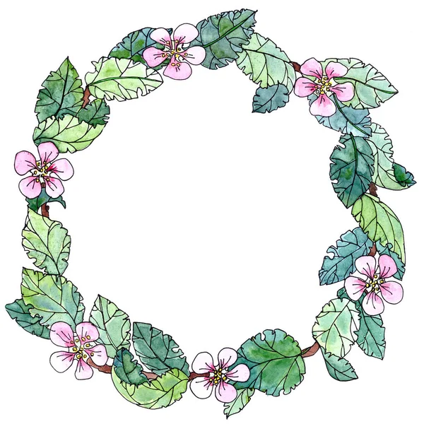 Watercolor Full Color Drawing Wreath Frame Branches Blossoming Apple Tree — Stock Photo, Image