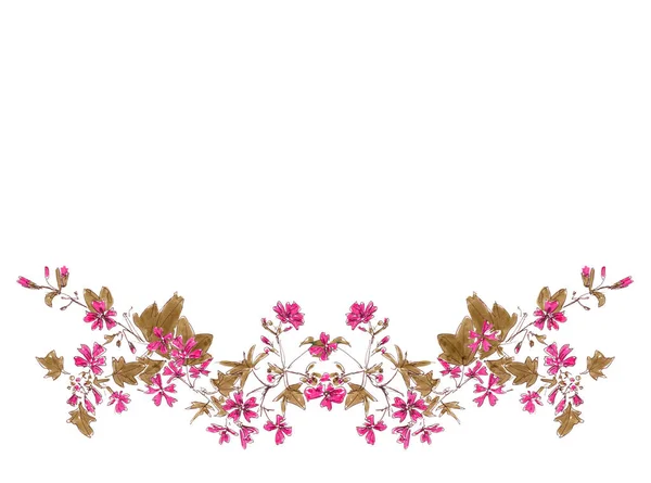 Наполовину Вінок Малюнка Квітучого Рожевого Дикого Мальви Копіювальним Простором Білому — стокове фото