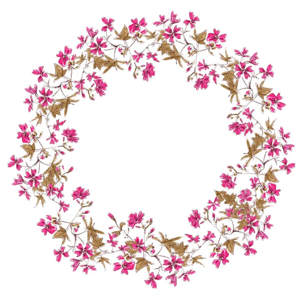 Вінок Малюнка Квітучого Рожевого Дикого Мальви Копіювальним Простором Білому Тлі — стокове фото