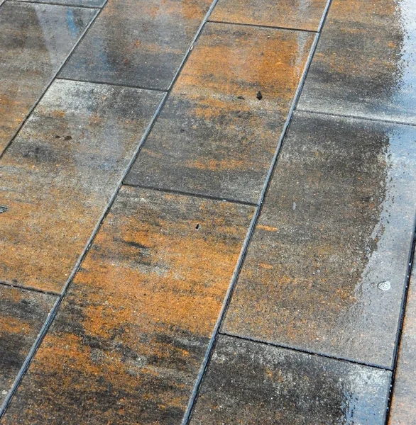 雨グレーオレンジブラックモトリー舗装スラブからぬれた — ストック写真