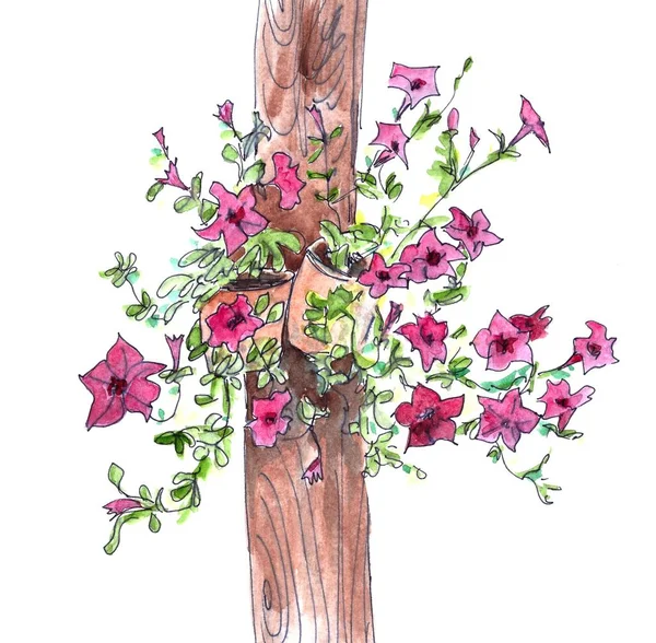 Dibujo Todo Color Acuarela Florecientes Petunias Borgoña Arbustos Macetas Colgando —  Fotos de Stock