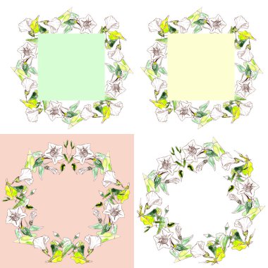 suluboya ve keten boyayla boyanmış beyaz narin çelenk ve çerçeveler.