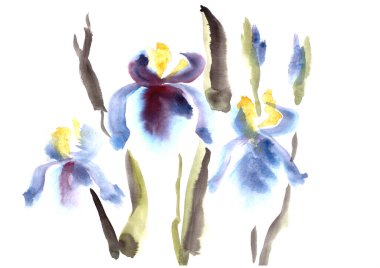 Yüksek kaliteli suluboya. Açık mavi suluboya süsenleri beyaz arkaplanda doğu tarzında