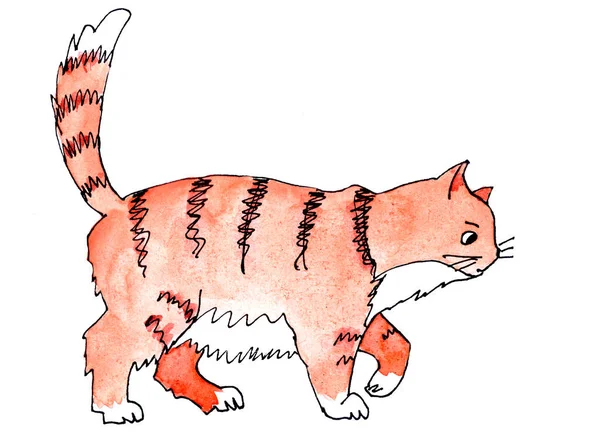 Kövér Csíkos Vörös Macska Megy Dolgára Akvarell Rajz — Stock Fotó