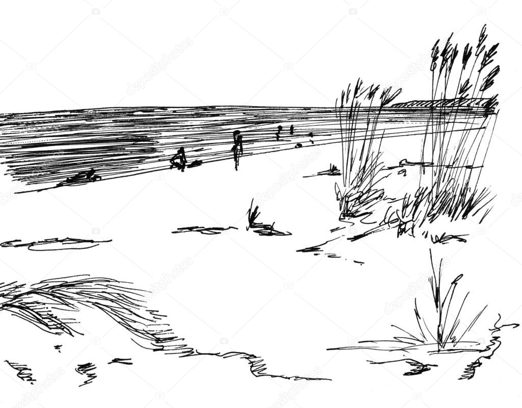 black and white graphic drawing of sand dunes on the seashore on a white background