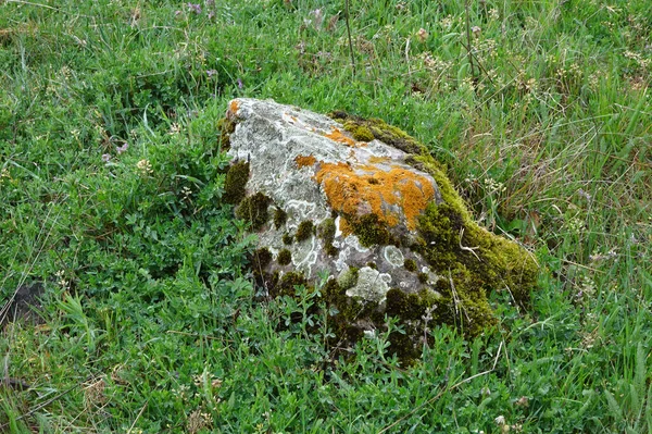 Uma pedra coberta de líquen e musgo jaz na grama — Fotografia de Stock