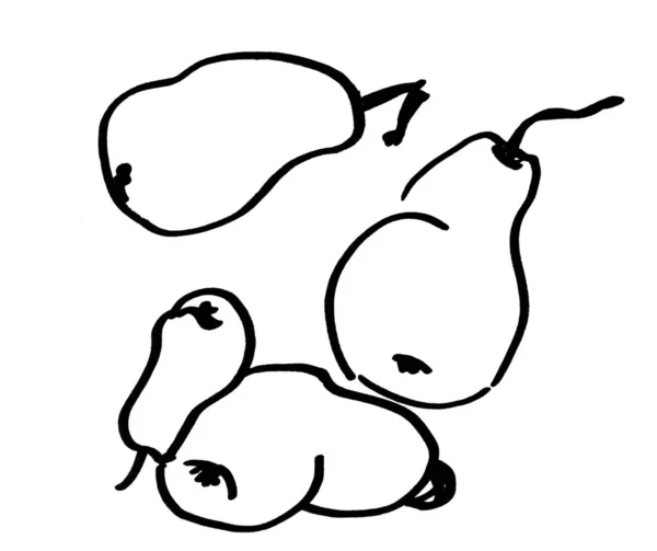 Чорно-білі лінійні графічні малюнки груші — стокове фото