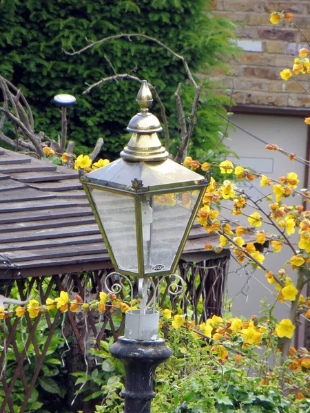 beautiful garden lamp on a background of a blossoming yellow tree