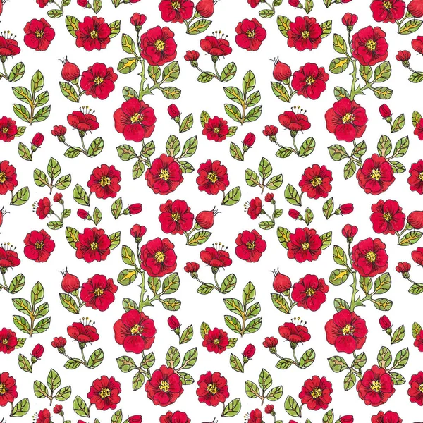 Patrón Sin Costuras Colores Rojos Flores Rosa Mosqueta Borgoña Con —  Fotos de Stock