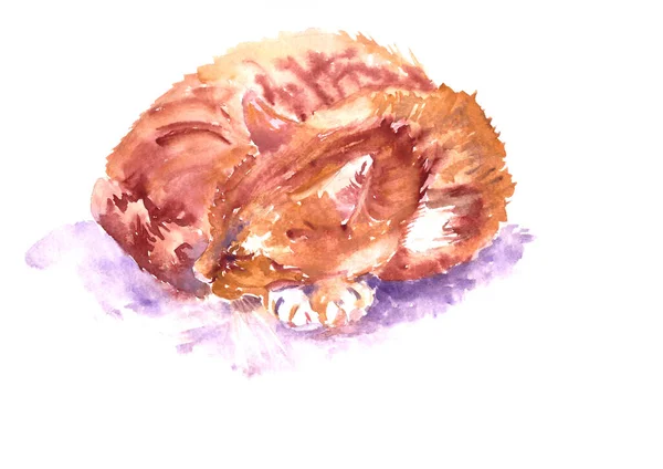 Watercolor Lying Sleeping Striped Ginger Cat White Background — Stock Photo, Image