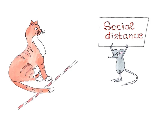 Ginger Cat Grey Mouse Debating Social Distance Humor — Stock Photo, Image