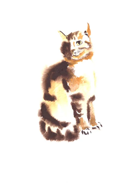 Watercolor Sitting Ginger Cat Green Eyes White Background — Stock Photo, Image