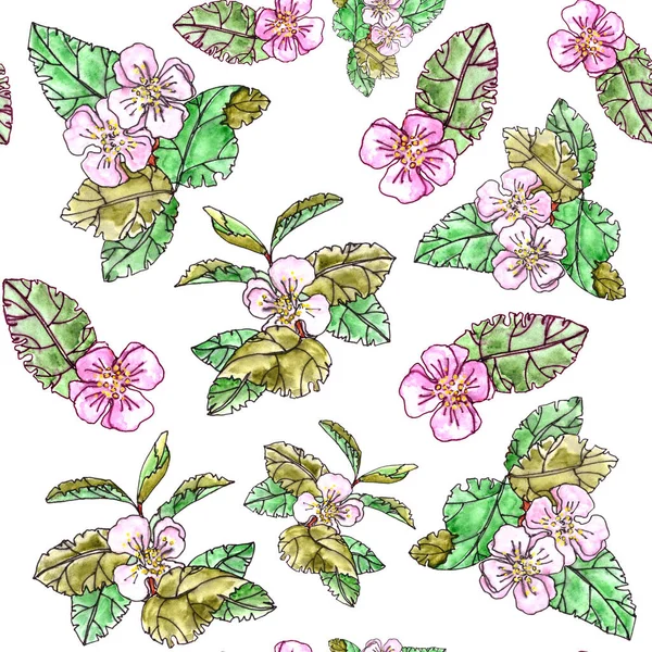 Patrón Sin Costuras Manzanos Con Flores Hojas Color Rosa Sobre —  Fotos de Stock