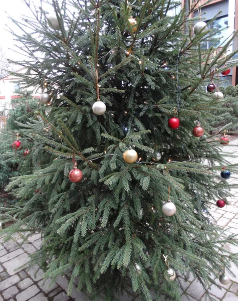 Πολύχρωμες Μπάλες Χριστουγεννιάτικο Δέντρο Πριν Από Τις Χειμερινές Διακοπές — Φωτογραφία Αρχείου