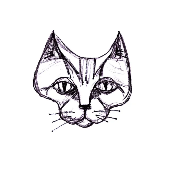 Dibujo Gráfico Blanco Negro Una Cabeza Gato Sobre Fondo Blanco —  Fotos de Stock