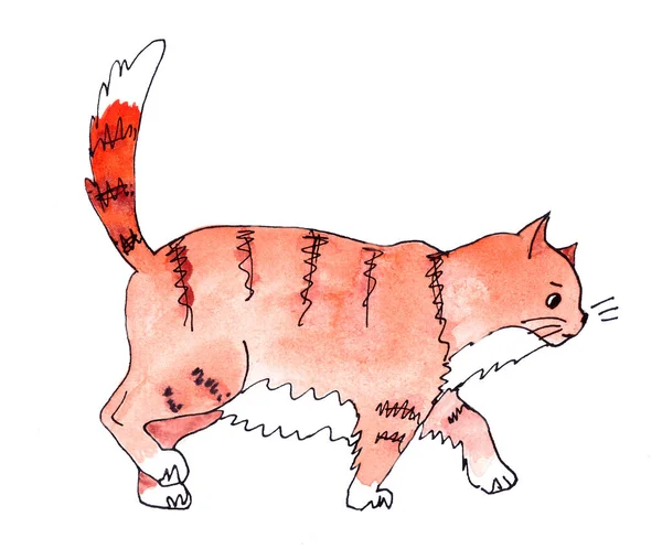 Kövér Csíkos Vörös Macska Megy Dolgára Akvarell Rajz — Stock Fotó