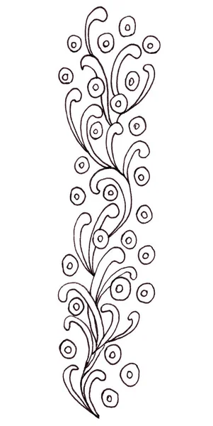 abstract graphic black and white drawing twig with leaves and small flowers. picture for coloring