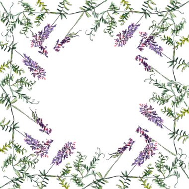 Metni kopyalamak için yuvarlak pencereli kare çerçeve. Mor çiçekli ve beyaz arkaplanlı narin yeşil yapraklı fare ineğinin suluboya çizimi