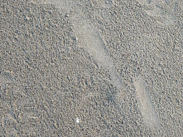 Fußabdrücke Sand Der Ostseeküste — Stockfoto