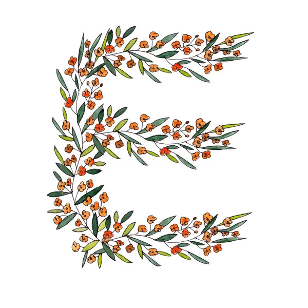 英语和拉丁花字母表字母E 白色背景上的彩色图形 开有橙花的小枝字母E — 图库照片