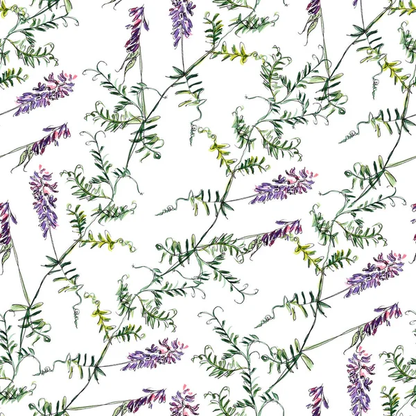 Seamless Pattern Watercolor Graphic Color Drawing Mouse Cow Vetch Purple — Stock Photo, Image