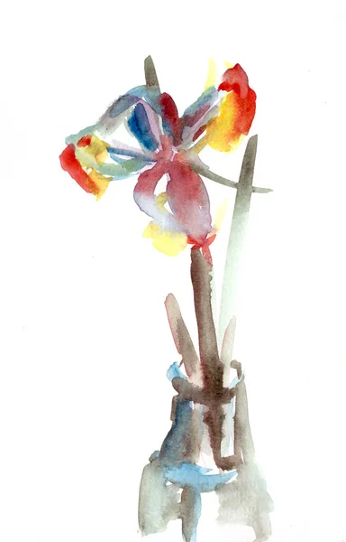 Acuarela Iris Multicolor Estilo Chino Aislado Sobre Fondo Blanco —  Fotos de Stock