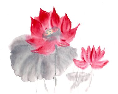 Beyaz arka planda izole edilmiş Çince mürekkep stili lotus.