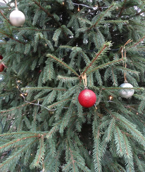 Bolas Multi Coloridas Uma Árvore Natal Fundo Inverno Borrado — Fotografia de Stock