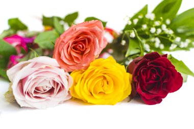 Metin için yeri olan beyaz arkaplanda izole edilmiş renkli güller.