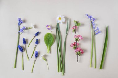Taze, güzel bahar çiçekleri arka planda hafif kağıt üzerinde.