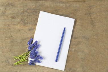 Beyaz arkaplanda renkli dikiş düğmelerinin tam çerçeve fotoğrafı