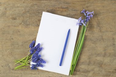 Beyaz arkaplanda renkli dikiş düğmelerinin tam çerçeve fotoğrafı