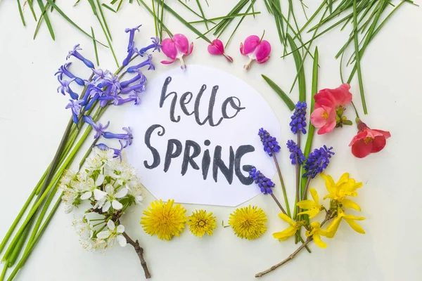 Frühlingsblumen Mit Zeichen Hallo Frühling Auf Weißem Hintergrund — Stockfoto