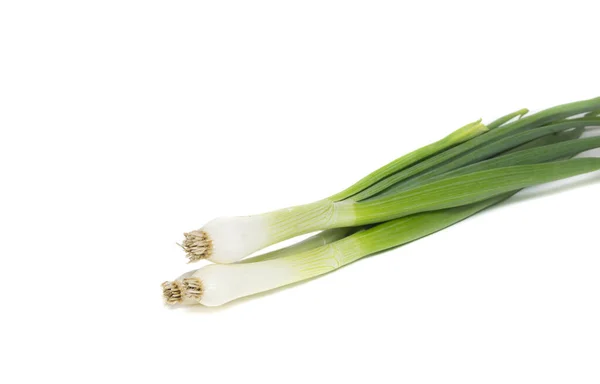 Fresh Spring Onion Isolated White Background — Stock Photo, Image