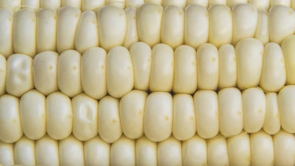 Full frame photo of fresh, organic corn crob.