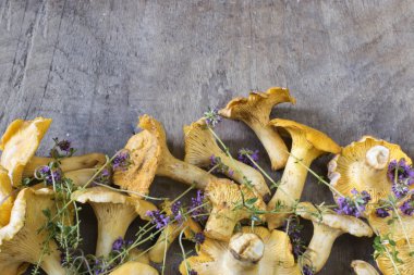 Kırsal ahşap arka planda sarı chanterelle (cantharellus cibarius).