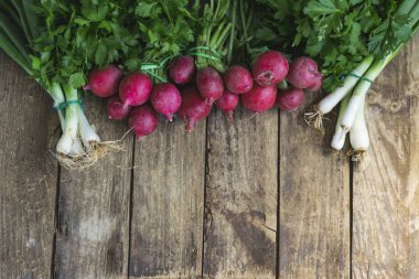 Turp ve taze soğan eski, kırsal ahşap masada. Kopyalama alanı ile görünümün üstünde