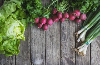 Organik, taze sebzeler (turp, taze soğan, salata) fotokopi alanı olan eski ahşap masa üzerinde